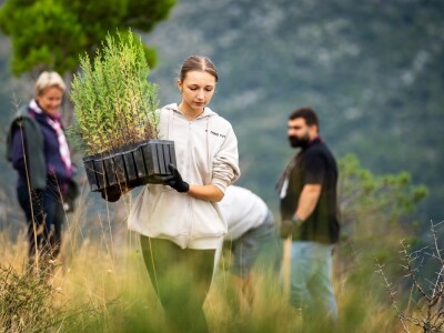 Započela je 6. Boranka, kampanja pošumljavanja požarišta