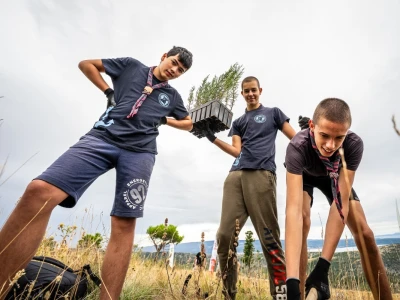 Započela je 6. Boranka, kampanja pošumljavanja požarišta