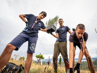 Započela je 6. Boranka, kampanja pošumljavanja požarišta