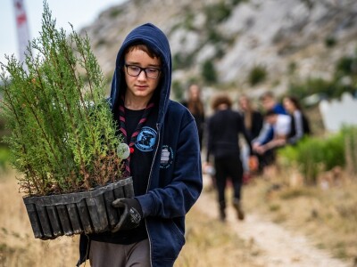 Započela je 6. Boranka, kampanja pošumljavanja požarišta