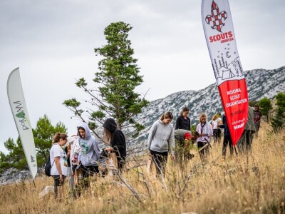 Započela je 6. Boranka, kampanja pošumljavanja požarišta