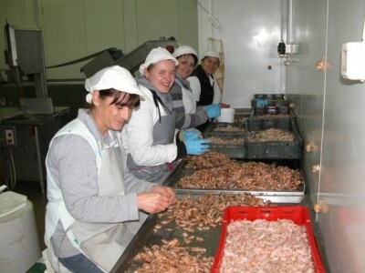 Zaposlenice u pogonu za preradu ribe Felicita Konjsko