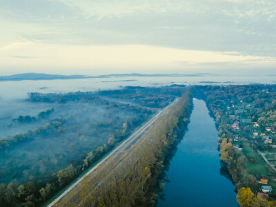 Zaposlenici tvrtke RWA Hrvatska i ICL-a posadili hektar šume