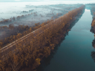 Zaposlenici tvrtke RWA Hrvatska i ICL-a posadili hektar šume