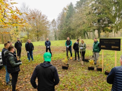 Zaposlenici tvrtke RWA Hrvatska i ICL-a posadili hektar šume
