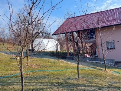 Žarko Đurić