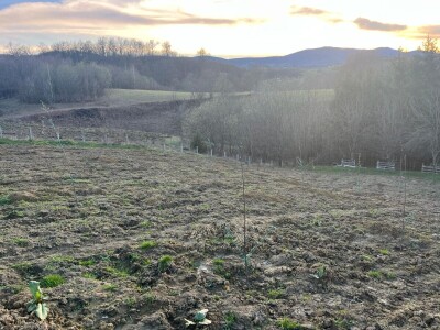 Zasad Đorđa Milanovića u Popovcu Zasad Đorđa Milanovića u Popovcu