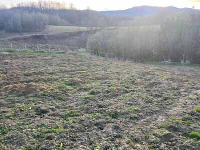 Zasad Đorđa Milanovića u Popovcu Zasad Đorđa Milanovića u Popovcu