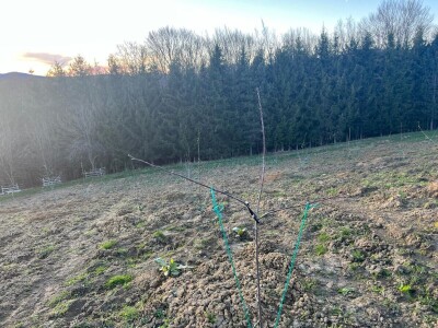 Zasad Đorđa Milanovića u Popovcu Zasad Đorđa Milanovića u Popovcu