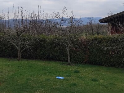 Zasad Đorđa Milanovića u Popovcu Zasad Đorđa Milanovića u Popovcu