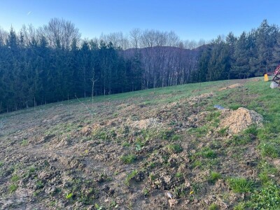 Zasad Đorđa Milanovića u Popovcu Zasad Đorđa Milanovića u Popovcu