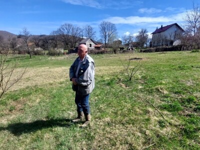 Zasad lješnika u Mrkonjić Gradu