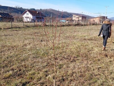 Zasad u Mišinom Hanu Zasad u Mišinom Hanu