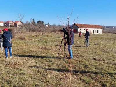 Zasad u Mišinom Hanu