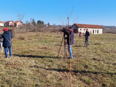 Zasad u Mišinom Hanu Zasad u Mišinom Hanu