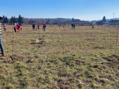 Zasad u Mišinom Hanu Zasad u Mišinom Hanu