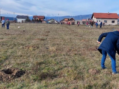 Zasad u Mišinom Hanu