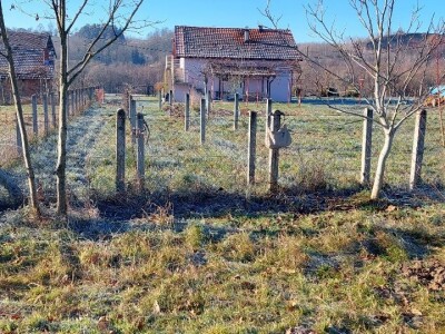 Zasad u Mišinom Hanu Zasad u Mišinom Hanu