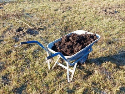 Zasad u Mišinom Hanu Zasad u Mišinom Hanu