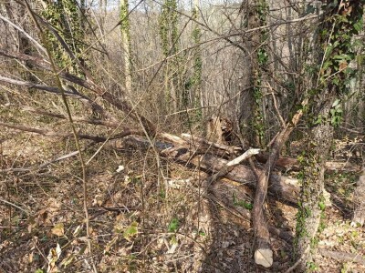 Zaštičeni krajobraz "Sutina" Zaštičeni krajobraz "Sutina"