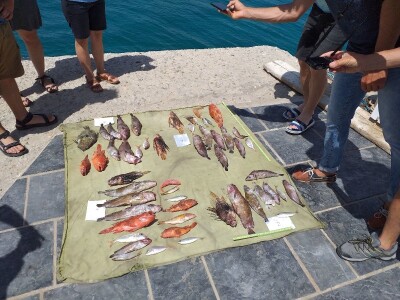 Zaštita mora Zaštita mora