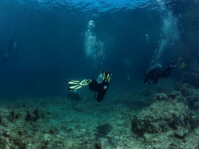 Zaštita mora Zaštita mora