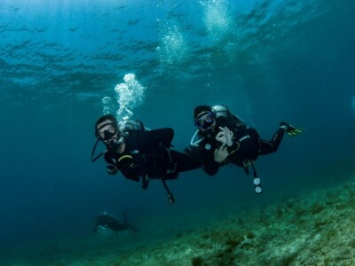 Zaštita mora Zaštita mora