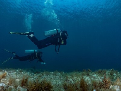 Zaštita mora Zaštita mora