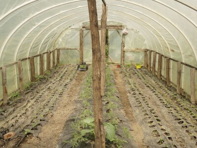 Zaštita od plamenjače