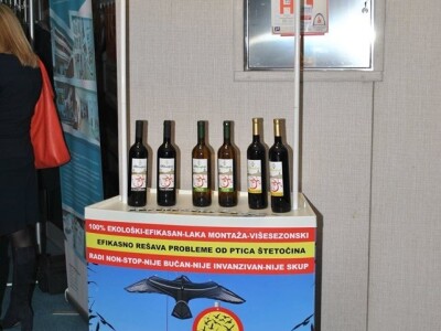 Zaštita od ptica: Prva godina SCARYBIRD-a u Srbiji