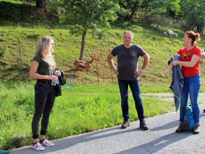 Zaštita od velikih zvijeri