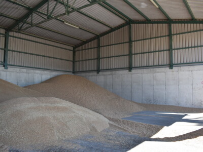 Zašto favoriziraju soju u županjskom kraju?