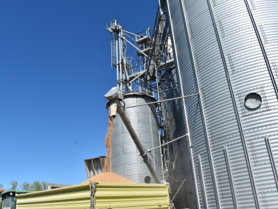 Zašto favoriziraju soju u županjskom kraju?