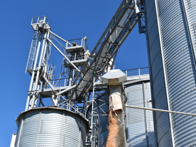 Zašto favoriziraju soju u županjskom kraju?