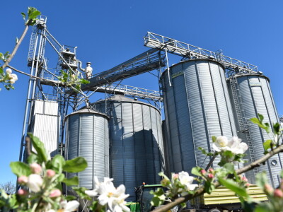 Zašto favoriziraju soju u županjskom kraju?