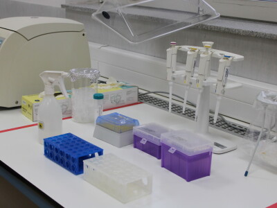 Zašto je važna kontrola sjemena i sadnog materijala?