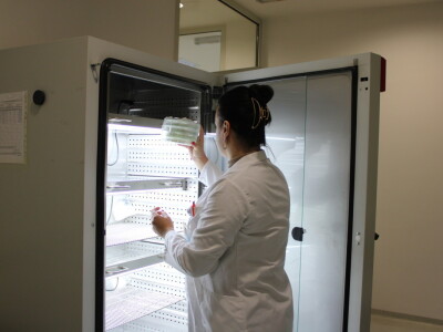 Zašto je važna kontrola sjemena i sadnog materijala?