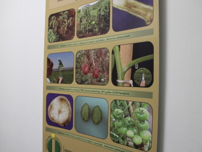 Zašto je važna kontrola sjemena i sadnog materijala?