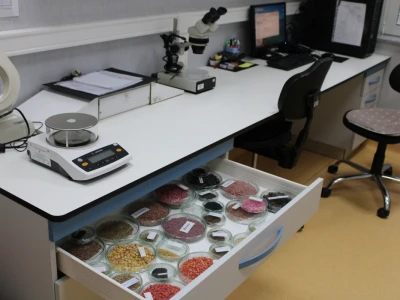Zašto je važna kontrola sjemena i sadnog materijala?