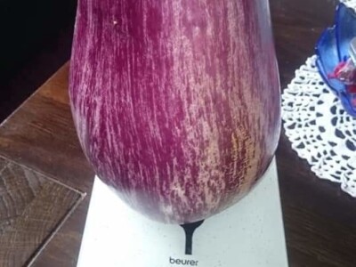 Zauzela svekrvinu teritoriju - u vrt s razlogom dovela krznene koke i patke specijalce