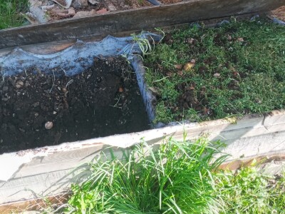 Zauzela svekrvinu teritoriju - u vrt s razlogom dovela krznene koke i patke specijalce