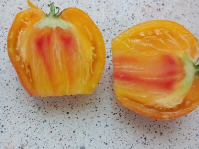 Zauzela svekrvinu teritoriju - u vrt s razlogom dovela krznene koke i patke specijalce