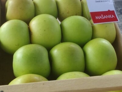 Stara sorta mašanka