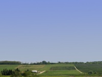 Pokušalište u Donjoj Zelini