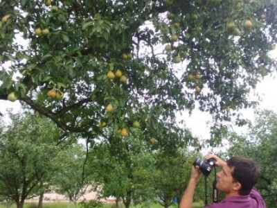 Sve valja fotodokumentirati