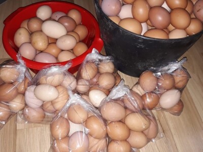 Zbog kćerke Marise smo se okrenuli poljoprivredi i nismo se pokajali