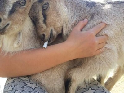 Zbog kćerke Marise smo se okrenuli poljoprivredi i nismo se pokajali