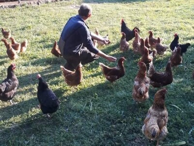 Zbog kćerke Marise smo se okrenuli poljoprivredi i nismo se pokajali