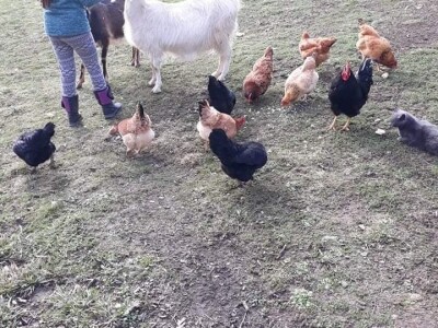 Zbog kćerke Marise smo se okrenuli poljoprivredi i nismo se pokajali