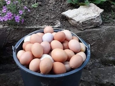 Zbog kćerke Marise smo se okrenuli poljoprivredi i nismo se pokajali